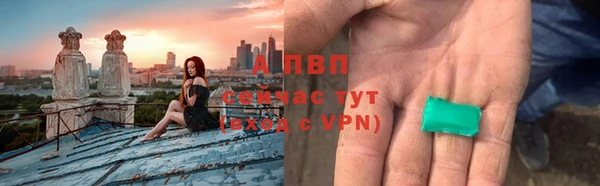 соль ск Инсар