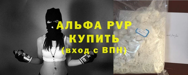 соль ск Инсар