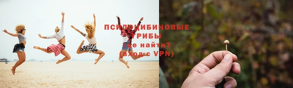 шишки Зеленодольск