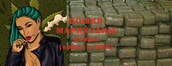 соль ск Инсар