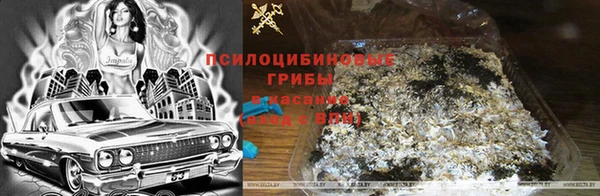 кокс Зерноград