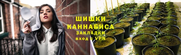 шишки Зеленодольск
