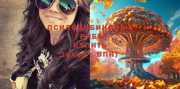 соль ск Инсар